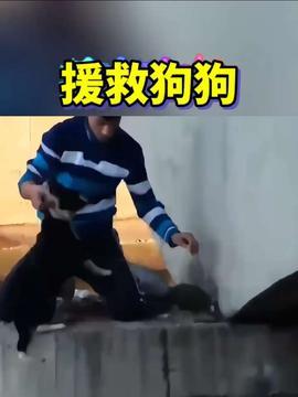 莆田小孩爆料事件最新,揭开校园霸凌背后的真相  第3张